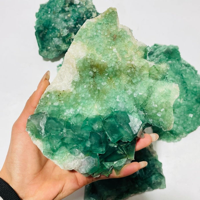 5 Pieces Large Green Fluorite Specimen Cubic Raw Stone