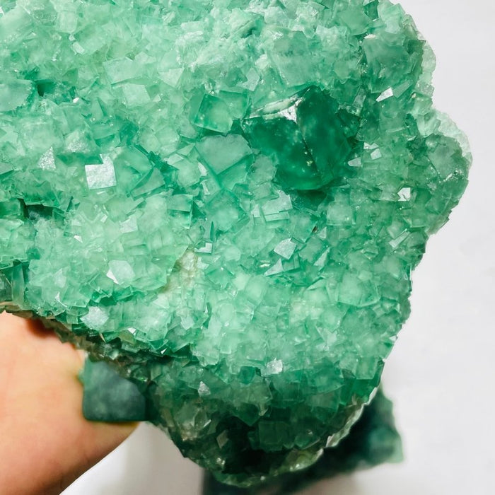 5 Pieces Large Green Fluorite Specimen Cubic Raw Stone