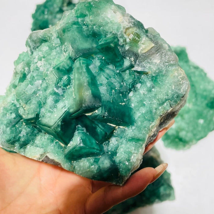 5 Pieces Large Green Fluorite Specimen Cubic Raw Stone