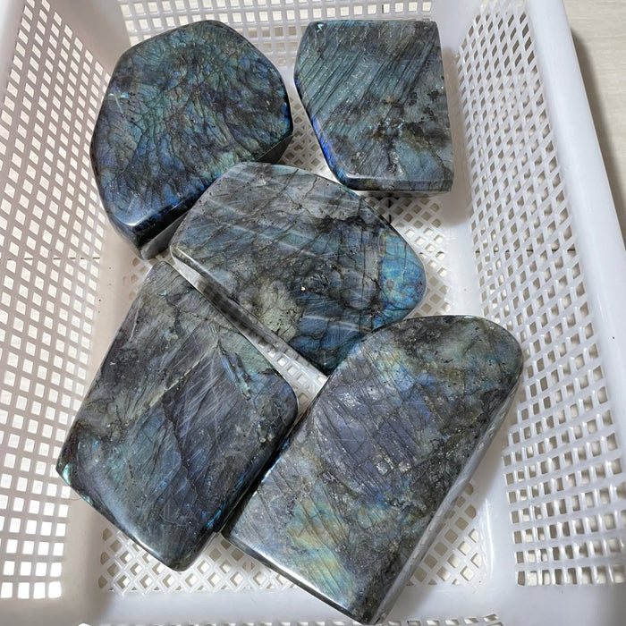 5 Pieces Large Labradorite Free Form