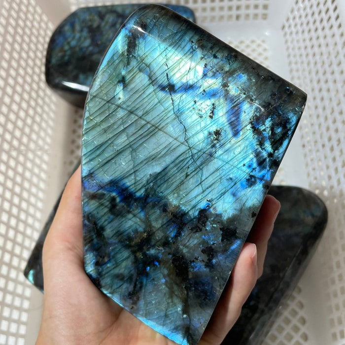 5 Pieces Large Labradorite Free Form