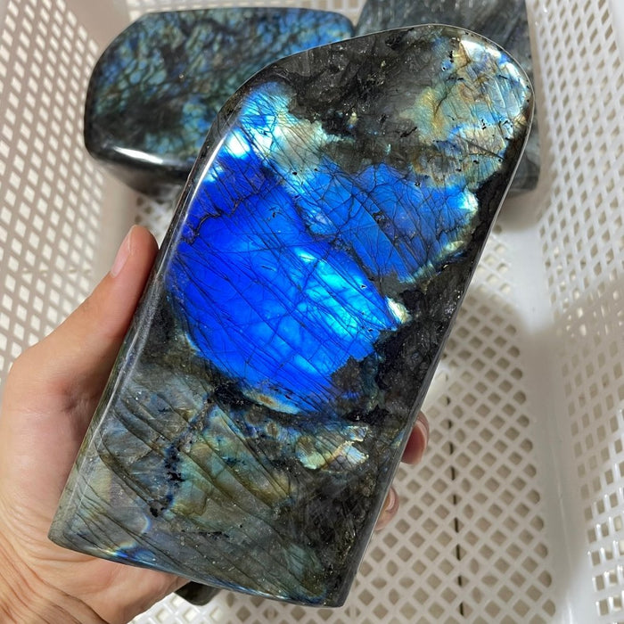 5 Pieces Large Labradorite Free Form