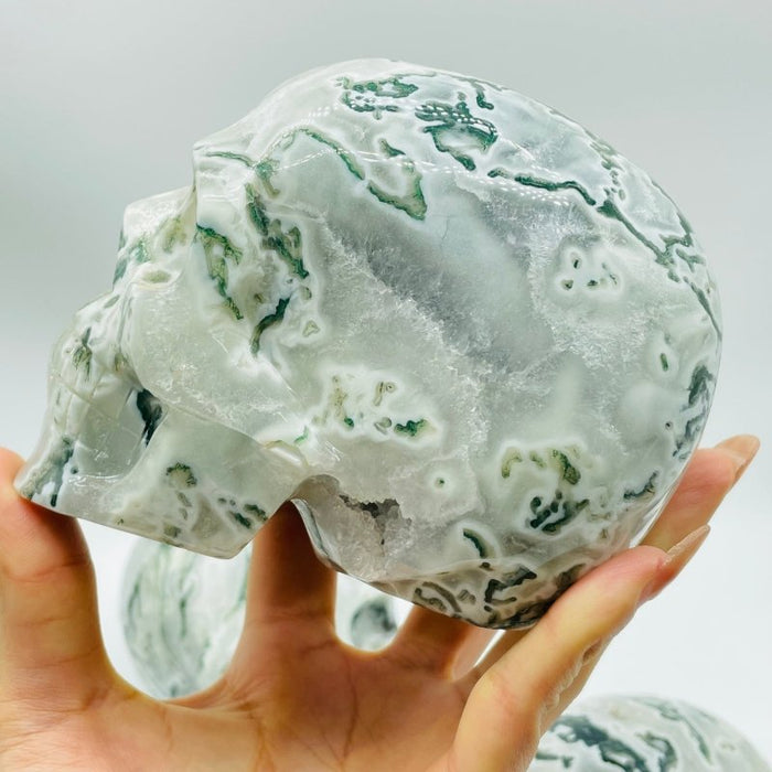 5 Pieces Large Moss Agate Skull Carving