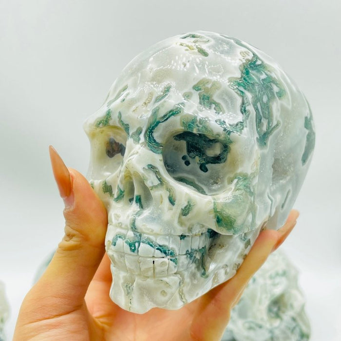 5 Pieces Large Moss Agate Skull Carving