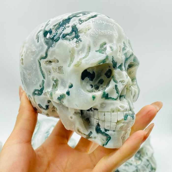 5 Pieces Large Moss Agate Skull Carving