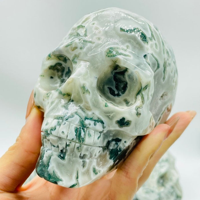 5 Pieces Large Moss Agate Skull Carving