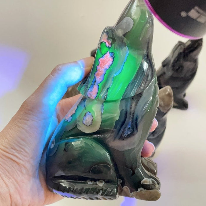 5 Pieces Large Volcanic Agate Wolf Carving(UV-Reactive)