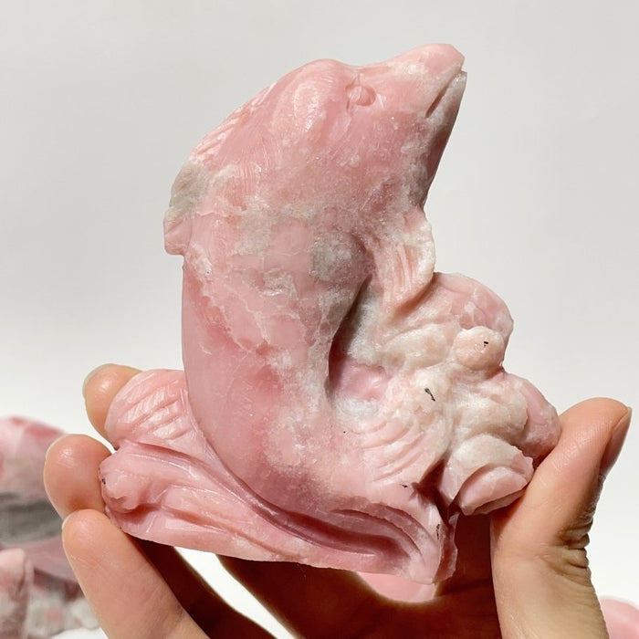 5 Pieces Pink Opal Dolphin Carving