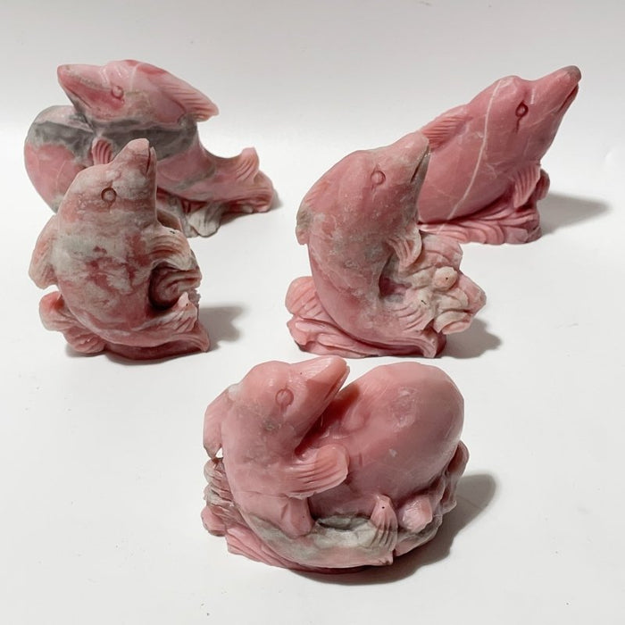 5 Pieces Pink Opal Dolphin Carving
