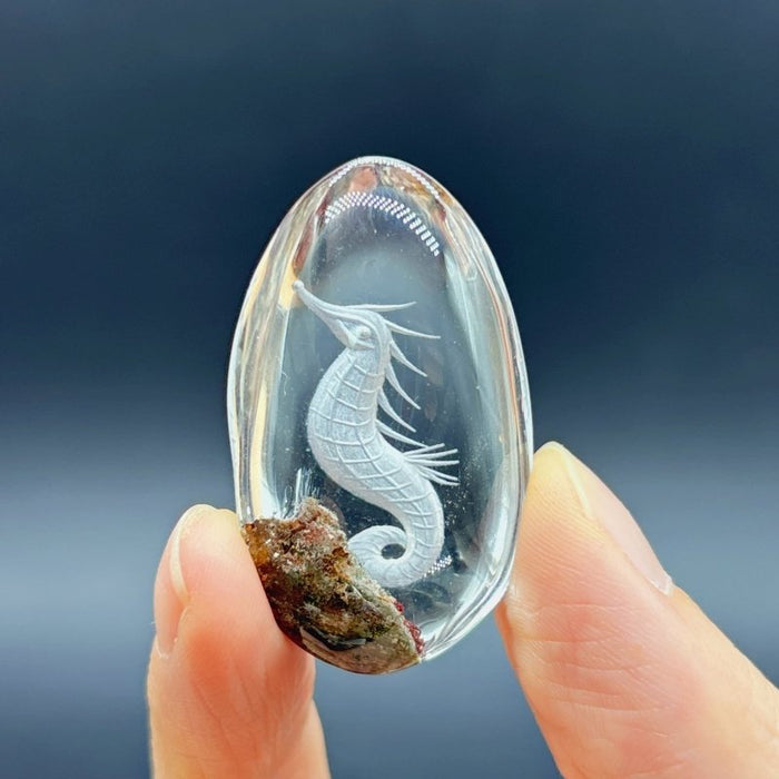 5 Pieces Seahorse Garden Quartz Inner Scene Carving