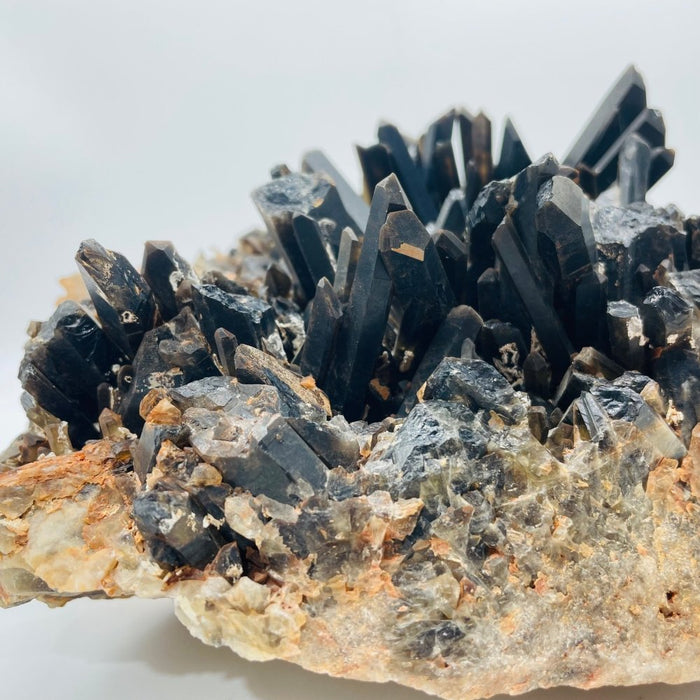 Deep Color Large Smoky Quartz Cluster