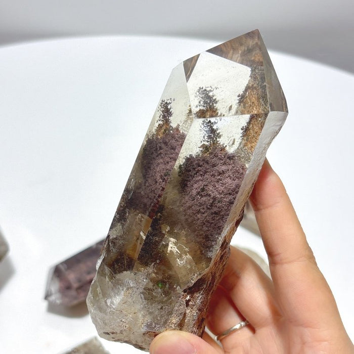6 Pieces Beautiful Garden Quartz Points Raw Bottom