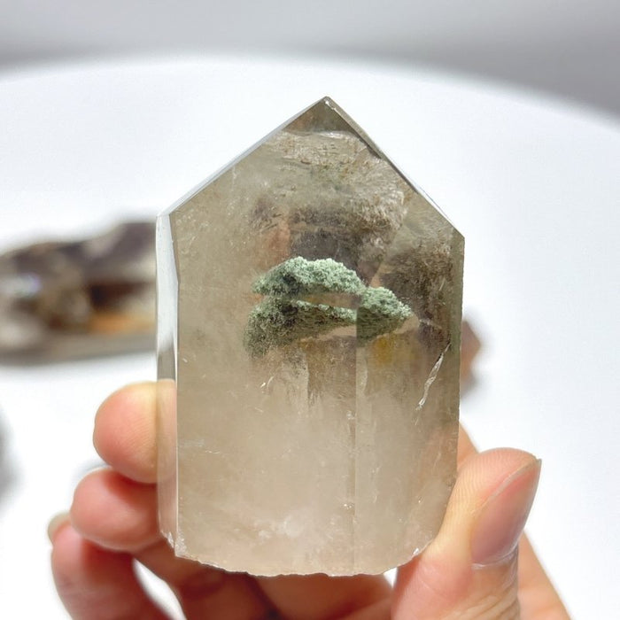 6 Pieces Beautiful Garden Quartz Points Raw Bottom