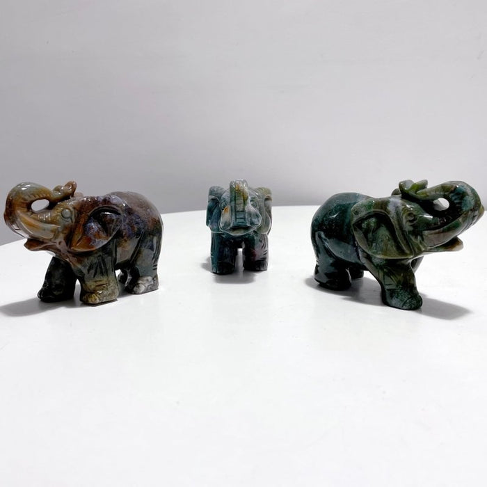 6 Pieces Beautiful Ocean Jasper Elephant Carving