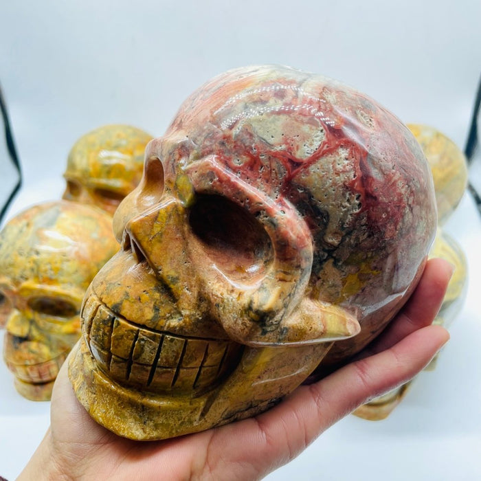 6 Pieces Crazy Agate Large Skull Carving