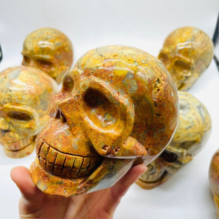 6 Pieces Crazy Agate Large Skull Carving