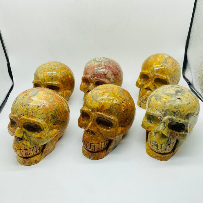 6 Pieces Crazy Agate Large Skull Carving