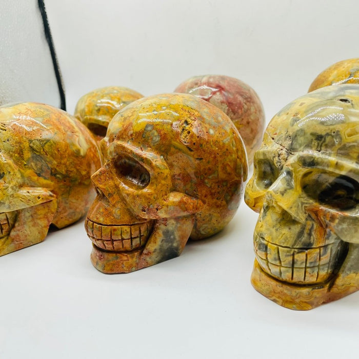 6 Pieces Crazy Agate Large Skull Carving