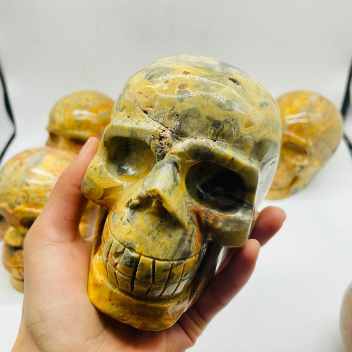 6 Pieces Crazy Agate Large Skull Carving