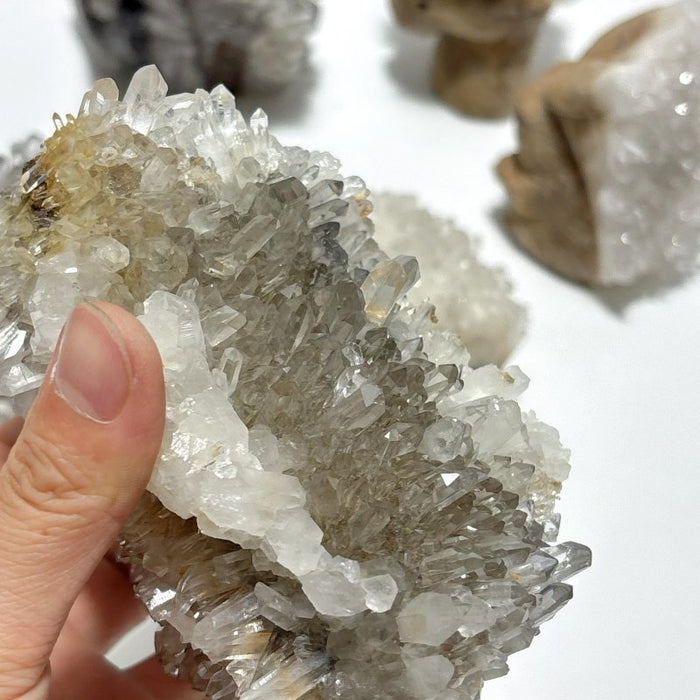 6 Pieces Cute Clear Quartz Cluster Animal Carving