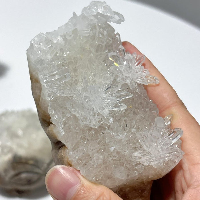 6 Pieces Cute Clear Quartz Cluster Animal Carving