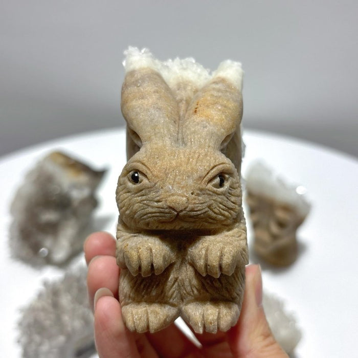 6 Pieces Cute Clear Quartz Cluster Animal Carving