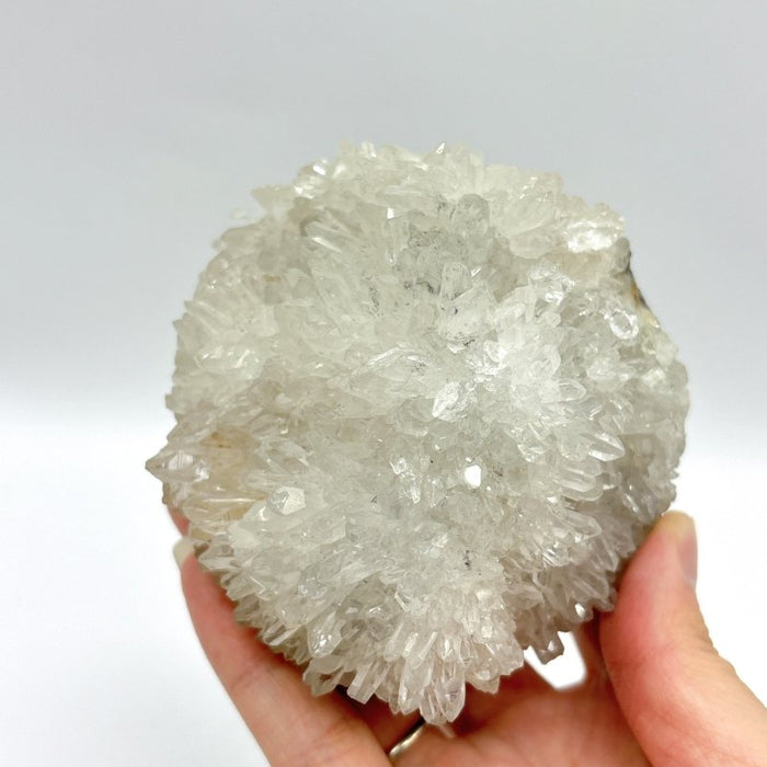 6 Pieces Cute Clear Quartz Cluster Animal Carving