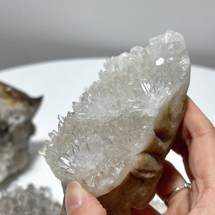 6 Pieces Cute Clear Quartz Cluster Animal Carving