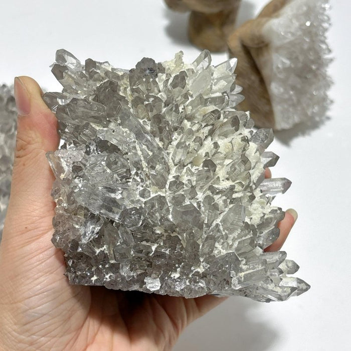 6 Pieces Cute Clear Quartz Cluster Animal Carving