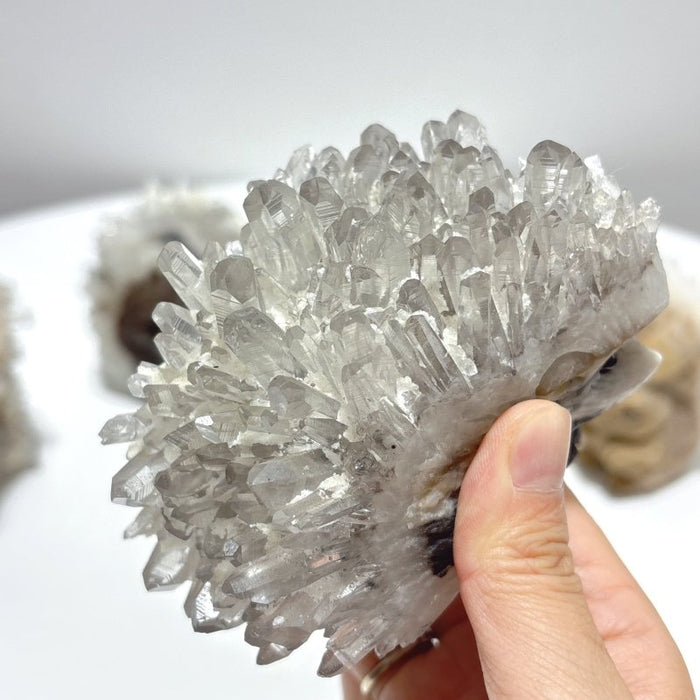 6 Pieces Cute Clear Quartz Cluster Animal Carving