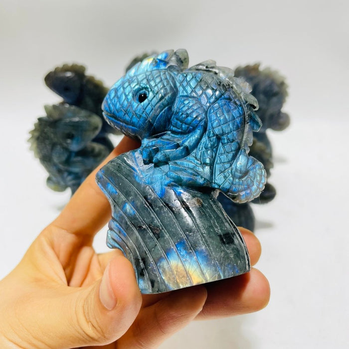 6 Pieces High Quality Labradorite Lizard Chameleon Carving