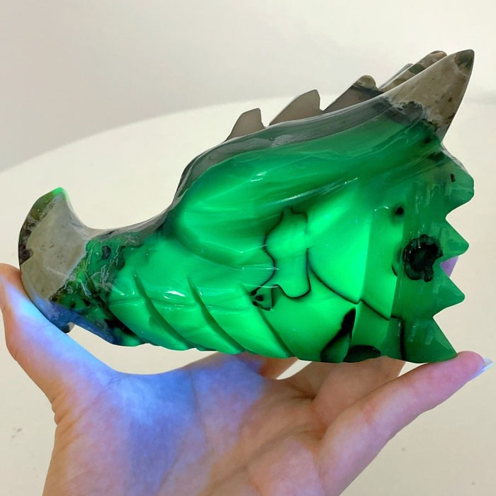 6 Pieces Volcanic Agate Dragon Head Carving(UV-Reactive)