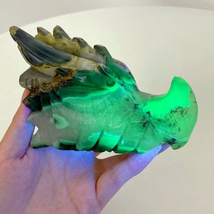 6 Pieces Volcanic Agate Dragon Head Carving(UV-Reactive)