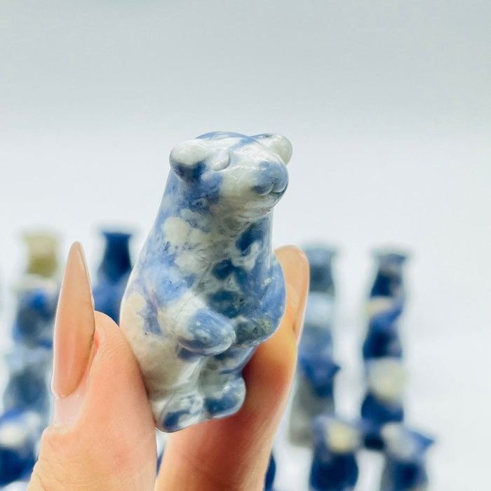 62 Pieces Sodalite Standing Polar Bear Carving