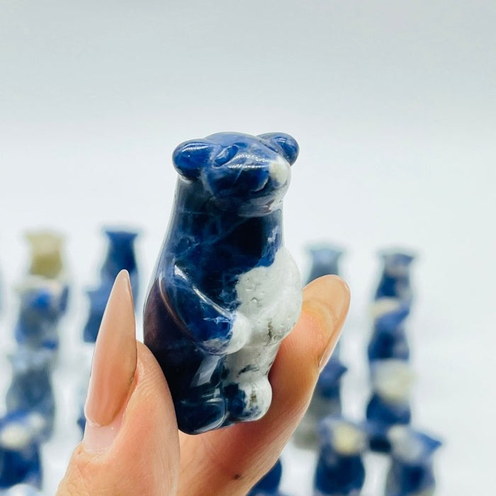 62 Pieces Sodalite Standing Polar Bear Carving
