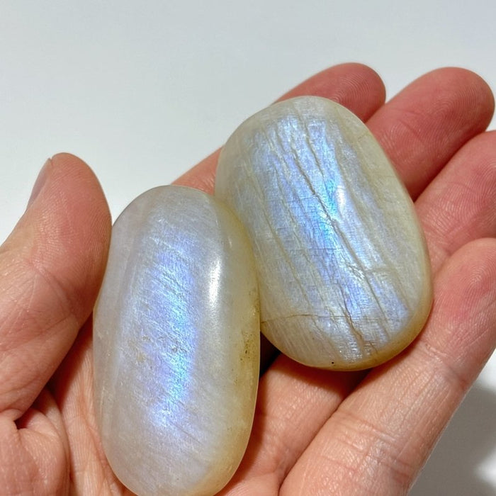 67 Pieces High Quality Small Blue Moonstone Palm