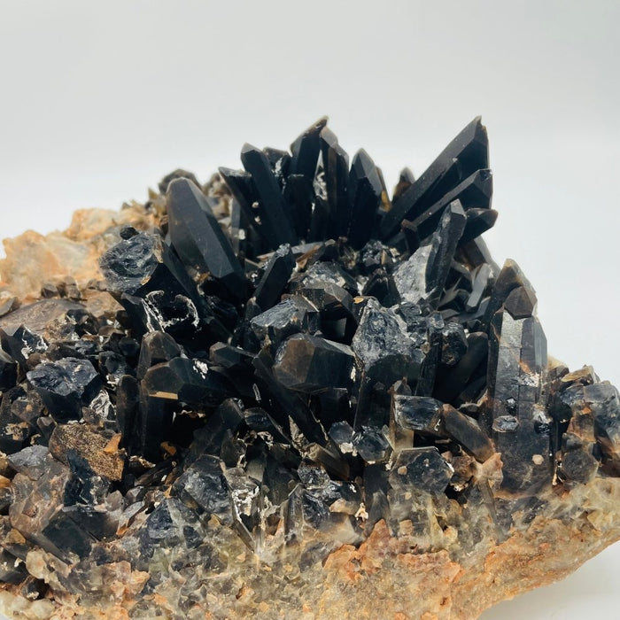 Deep Color Large Smoky Quartz Cluster