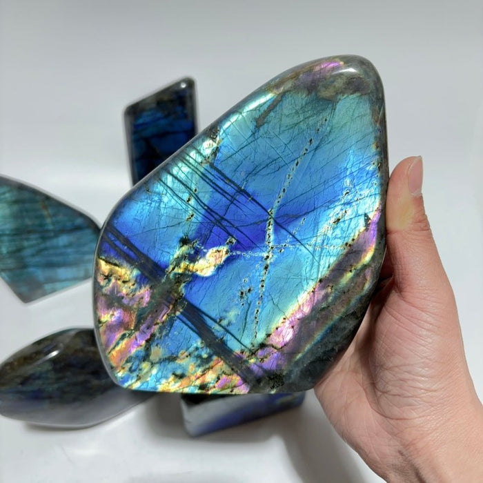 7 Pieces Large High Quality Labradorite Free Form