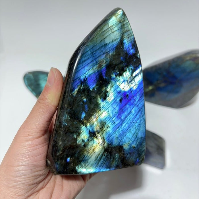 7 Pieces Large High Quality Labradorite Free Form