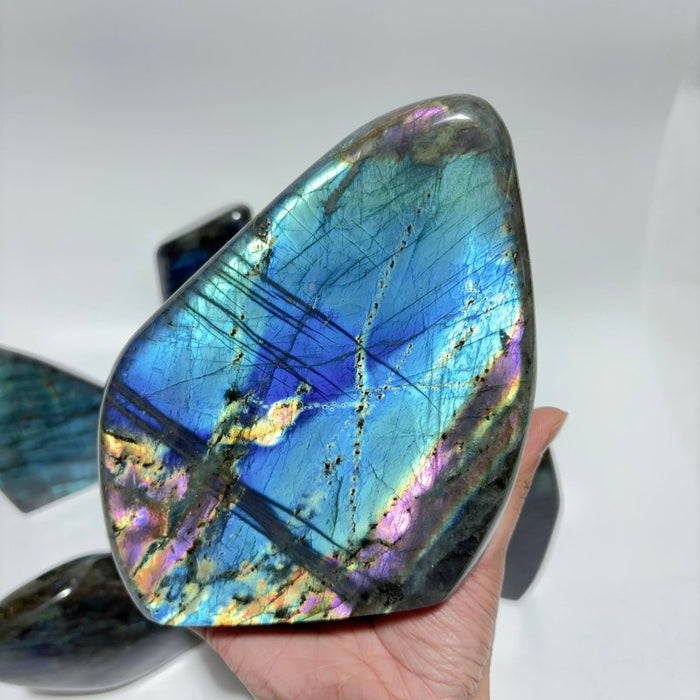 7 Pieces Large High Quality Labradorite Free Form