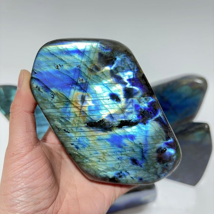 7 Pieces Large High Quality Labradorite Free Form
