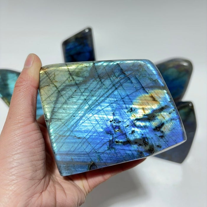 7 Pieces Large High Quality Labradorite Free Form