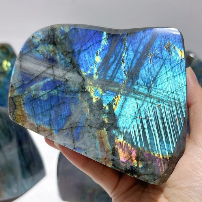 7 Pieces Large Labradorite Free Form High Quality