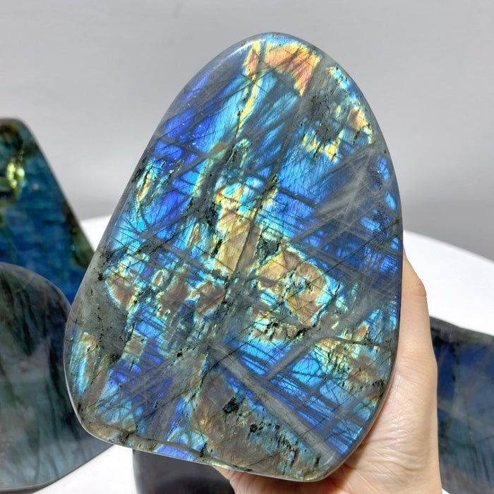 7 Pieces Large Labradorite Free Form High Quality