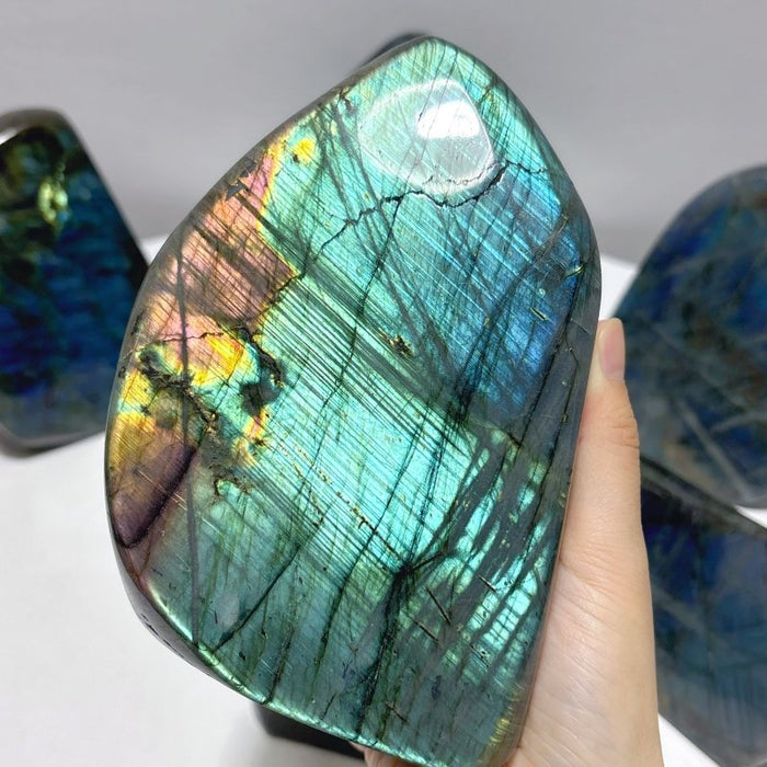 7 Pieces Large Labradorite Free Form High Quality
