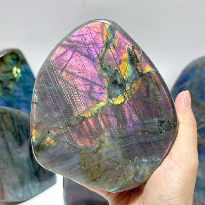 7 Pieces Large Labradorite Free Form High Quality