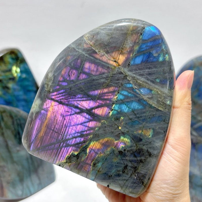 7 Pieces Large Labradorite Free Form High Quality