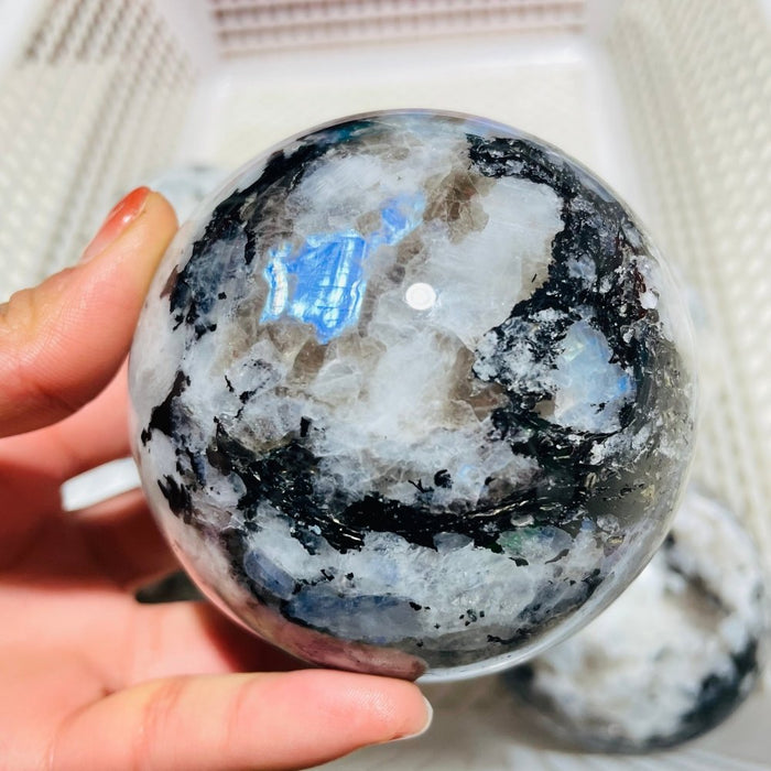 7 Pieces Large Moonstone Sphere Ball