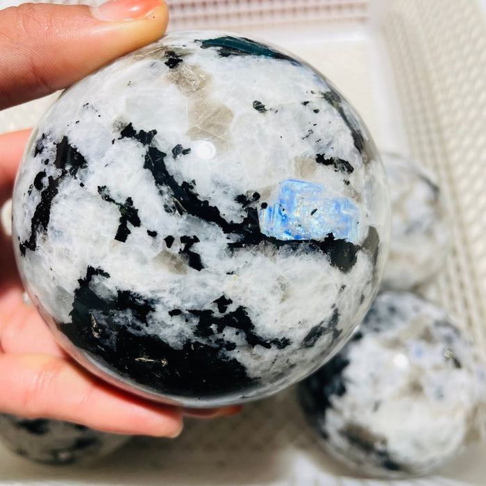 7 Pieces Large Moonstone Sphere Ball