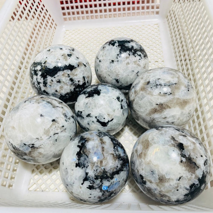 7 Pieces Large Moonstone Sphere Ball